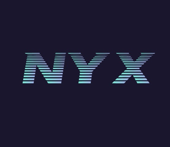 NYX — Nanxi International Trade (Linyi) Co., Ltd.